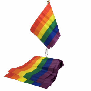 PRIDE - LGBT FLAG SMALL FLAG BANNER